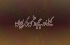 Khuly awr Chuhpy Dushman ki Pehchan-by-Shaykh-ul-Islam Dr Muhammad Tahir-ul-Qadri