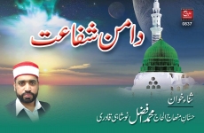 Daman e Shafaat Hassan e Minhaj Muhammad Afzal Naushahi-by-MISC