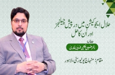 Halal Education Main Darpesh Challenge Awr Un Ka Hal-by-Prof Dr Hussain Mohi-ud-Din Qadri