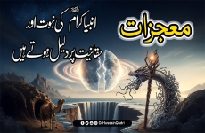 Mojzat Ambiya e Karam Ki Nabuwwat awr Haqaniyat Par Dalil Hote Hain-by-Prof Dr Hussain Mohi-ud-Din Qadri